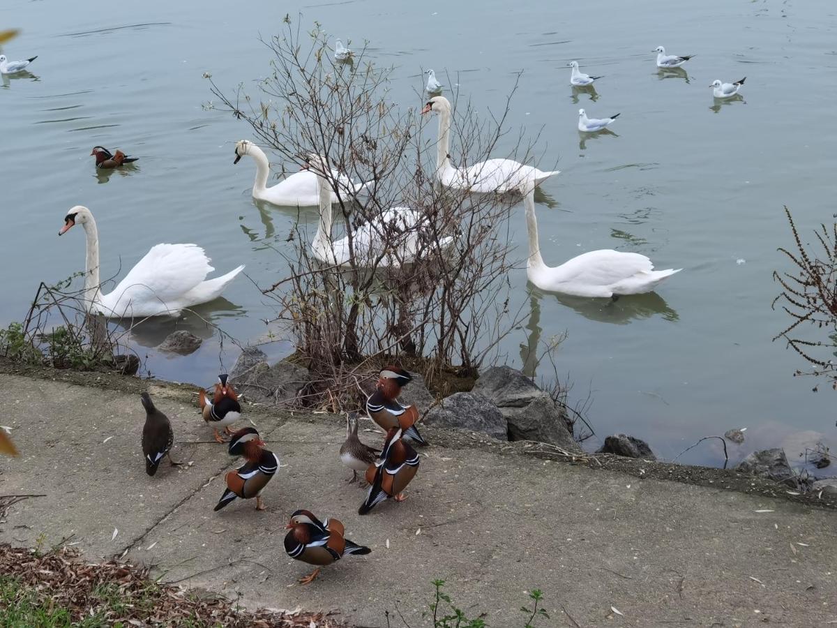 Les Pingouins De La Marne Panzió Le Perreux-Sur-Marne Kültér fotó