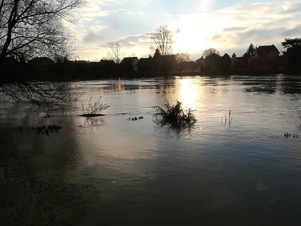 Les Pingouins De La Marne Panzió Le Perreux-Sur-Marne Kültér fotó