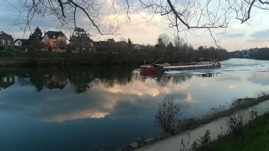 Les Pingouins De La Marne Panzió Le Perreux-Sur-Marne Kültér fotó